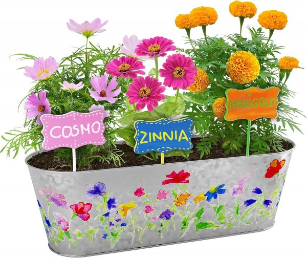 Paint & Plant Flower Growing Kit for Kids